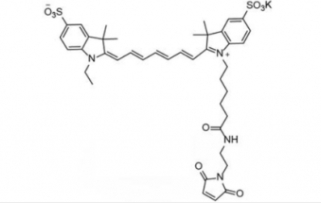 1422279-40-0 diSulfo-Cy7 Maleimide(Ethyl) 二磺酸基Cy7-马来酰亚胺(乙基)