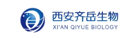 Cy3.5-PEG-DPSE  Cy3.5-聚乙二醇-二硬脂酰基磷脂酰乙醇胺