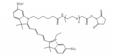 Cy5-PEG-NHS Cy5-PEG-SC Cy5-聚乙二醇-琥珀酰亚胺酯