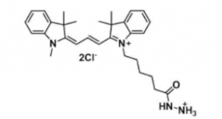 Cyanine3 hydrazide 脂性Cy3-酰肼 C30H40Cl2N4O