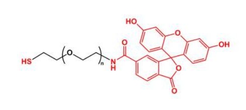 荧光素聚乙二醇巯基 FITC-PEG-SH