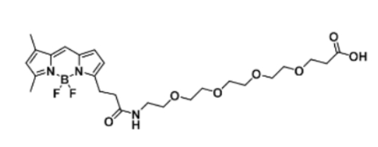 BODIPY FL-PEG4-COOH，分子量 539.38