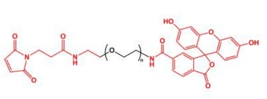 荧光素聚乙二醇马来酰亚胺 FITC-PEG-MAL