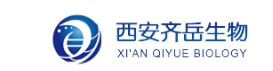 Cy5.5-PEG-Folate Cy5.5-PEG-FA Cy5.5-聚乙二醇-叶酸