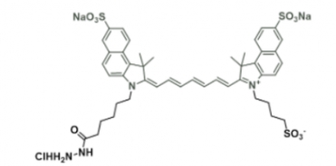 diSulfo-ICG Hydrazide 水溶性吲哚菁绿-酰肼