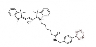  Cy3 tetrazine/Cyanine3 tetrazine 脂性Cy3-四嗪