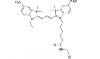1010386-62-5 diSulfo-Cy3 alkyne(Ethyl) 二磺酸基Cy3-炔基(乙基)