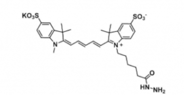  2055138-61-7 diSulfo-Cy5 hydrazide 二磺酸基Cy5 酰肼