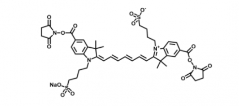 diSulfo-Cy7 Bis-NHS ester，二磺酸基Cy7-双活性酯