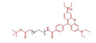 RB-PEG-COOtBu Rhodamine-PEG-COOtBu 罗丹明聚乙二醇叔丁酯