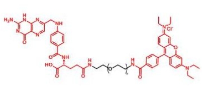 RB-PEG-Folate Folate-PEG-RB 	罗丹明聚乙二醇叶酸 