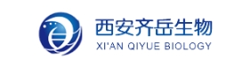  Cy5.5-PEG-NH2 Cy5.5-PEG-Amine Cy5.5-聚乙二醇-胺