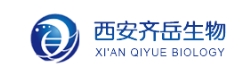  Cy5.5-PEG-Folate Cy5.5-PEG-FA Cy5.5-聚乙二醇-叶酸