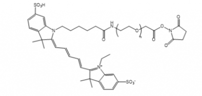 Cy5-PEG-NHS Cy5-PEG-SC Cy5-聚乙二醇-琥珀酰亚胺酯