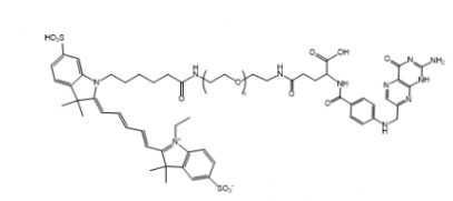 Cy5-PEG-Folate Cy5-PEG-FA Cy5-聚乙二醇-叶酸