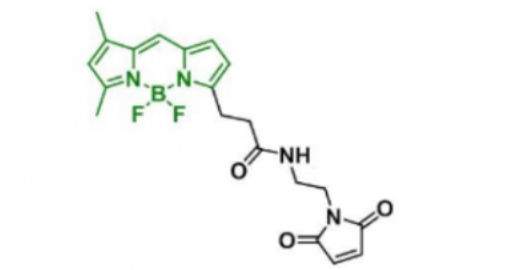 BDP FL Maleimide，773859-49-7，存储条件 -20°，避光