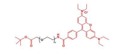 Rhodamine-PEG-COOtBu 罗丹明聚乙二醇叔丁酯