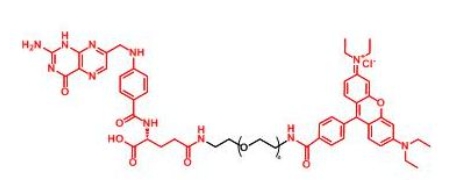RB-PEG-Folate Folate-PEG-RB	罗丹明聚乙二醇叶酸