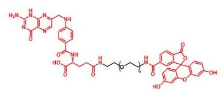 FITC-PEG-Folate Folate-PEG-FITC 荧光素聚乙二醇叶酸
