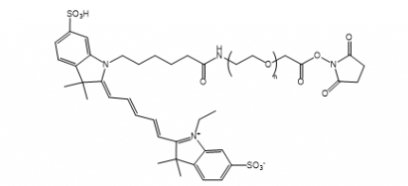 Cy5-PEG-NHS Cy5-PEG-SC Cy5-聚乙二醇-琥珀酰亚胺酯