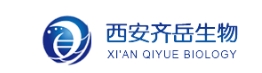  Cy5.5-PEG-NHS Cy5.5-PEG-SC Cy5.5-聚乙二醇-琥珀酰亚胺酯