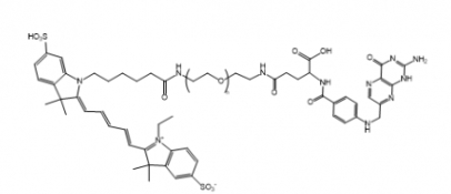 Cy5-PEG-Folate Cy5-PEG-FA Cy5-聚乙二醇-叶酸