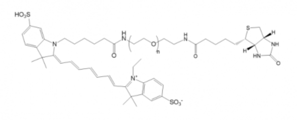 Cy7-PEG-Biotin，Cy7-聚乙二醇-生物素