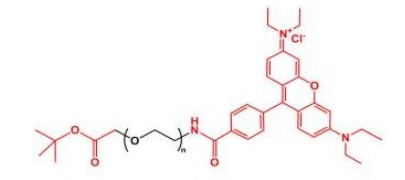 Rhodamine-PEG-COOtBu 叔丁酯聚乙二醇罗丹明