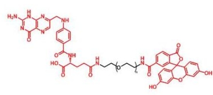 FITC-PEG-Folate Folate-PEG-FITC 叶酸聚乙二醇荧光素