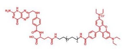 RB-PEG-Folate Folate-PEG-RB 罗丹明聚乙二醇叶酸