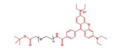 Rhodamine-PEG-COOtBu 罗丹明聚乙二醇叔丁酯
