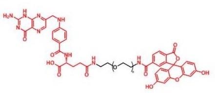 FITC-PEG-Folate Folate-PEG-FITC 荧光素聚乙二醇叶酸