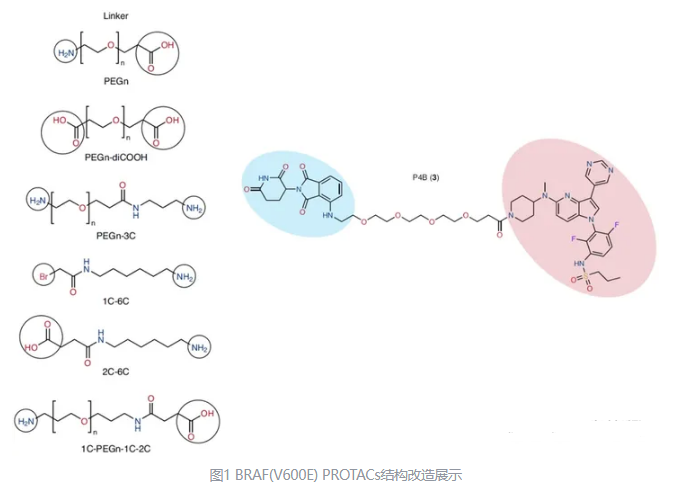 Cas N Azido Peg N Boc Peg T Butyl Ester Peg Linkers