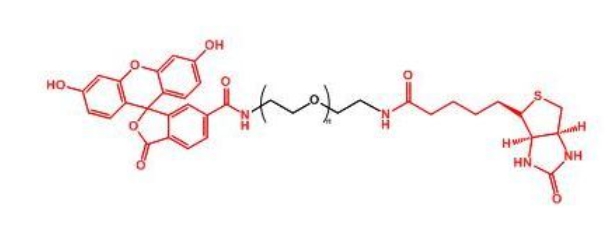 荧光素聚乙二醇生物素 FITC-PEG-Biotin