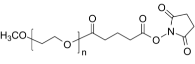 mPEG-SG 甲氧基-聚乙二醇-琥珀酰亚胺戊二酸酯