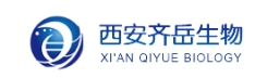 DSPE-PEG-LyP-1；磷脂-聚乙二醇-肿瘤靶向蛋白