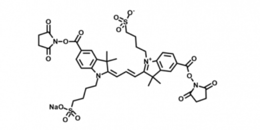 diSulfo-Cy3 bis-NHS ester/二磺酸基Cy3-二活性酯