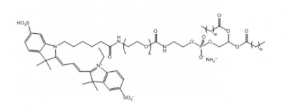 Cy3-PEG-DSPE,Cy3-聚乙二醇-磷脂