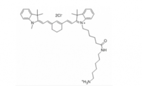 Cy7 amine/Cyanine7 amine（TFA)/Cy7-氨基