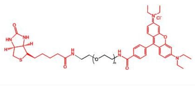 罗丹明聚乙二醇生物素 RB-PEG-BIOTIN