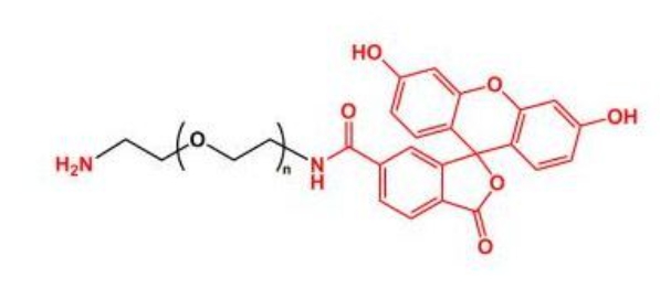 荧光素聚乙二醇氨基 FITC-PEG-NH2