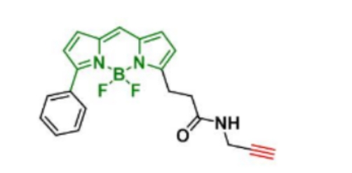 BDP R6G alkyne；分子量 377.2