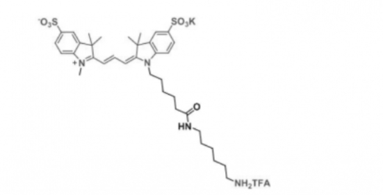diSulfo-Cy3 amine/水溶性CY3 NH2/二磺酸基Cy3-胺