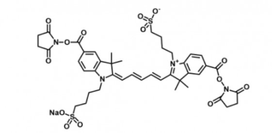 diSulfo-Cy5 bis-NHS ester /磺酸基Cy5-双活性酯