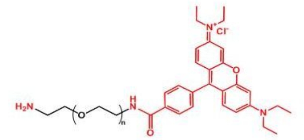 罗丹明聚乙二醇氨基 Rhodamine-PEG-NH2