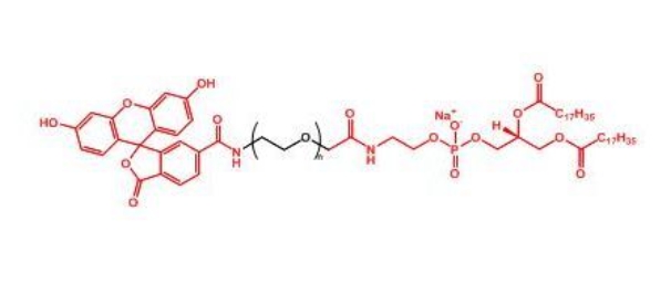 荧光素聚乙二醇磷脂 FITC-PEG-DSPE