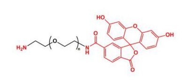 荧光素聚乙二醇氨基 FITC-PEG-NH2