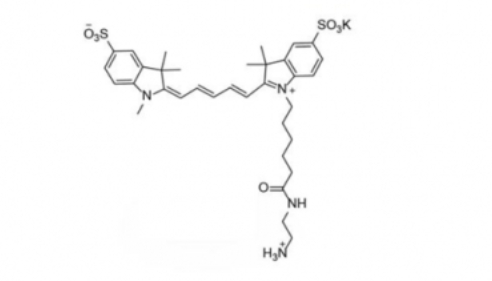 diSulfo-Cy5 Amine (Methyl)/二磺酸基Cy5-氨基