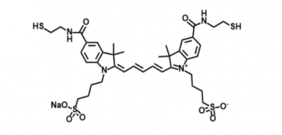 diSulfo-Cy5 bis-Thiol /二磺酸基Cy5-二巯基