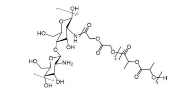 Chitosan-PLGA；壳聚糖-聚乳酸羟基乙酸共聚物